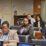 Delegates attend the 58th UN Commission on Population and Development in New York.