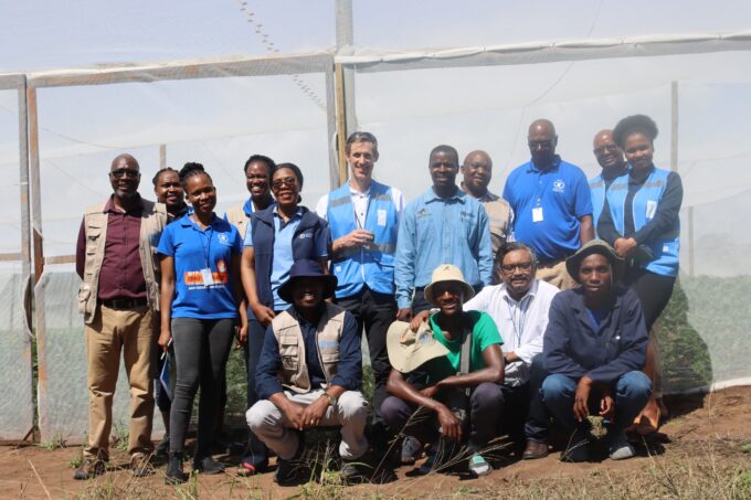 Young members of the Njelu Youth Group prepare their field for baby vegetable production with support from UN agencies. Photo: UNDP Eswatini