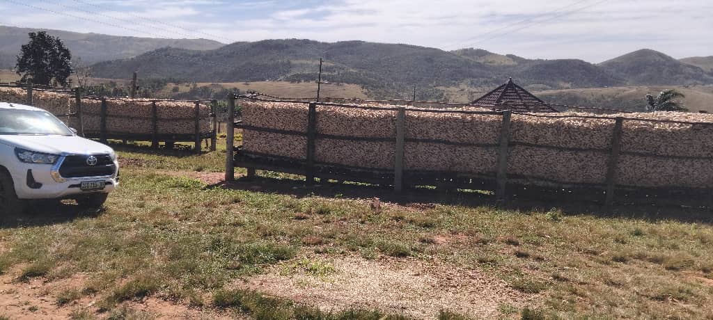 Bumper harvest in Mahlangatsha – A fully loaded maize crib stands as a symbol of the agricultural transformation taking place under EWADE’s Hambabuye fund, with each structure holding up to 30 tons of maize.