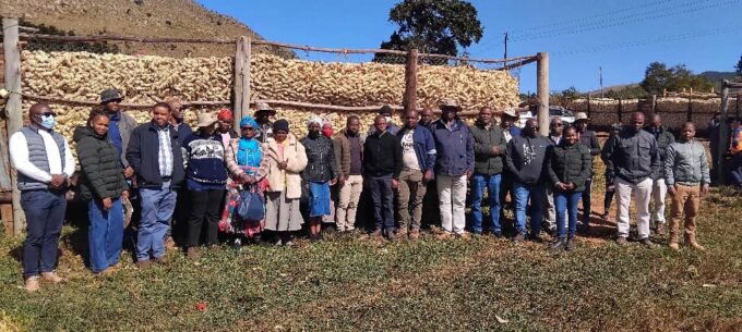 EWADE leadership on the ground – Board members, executives, and senior managers of EWADE pose with local farmers during a field visit to Mahlangatsha