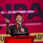 EFF leader Julius Malema. (Delwyn Verasamy/M&G)