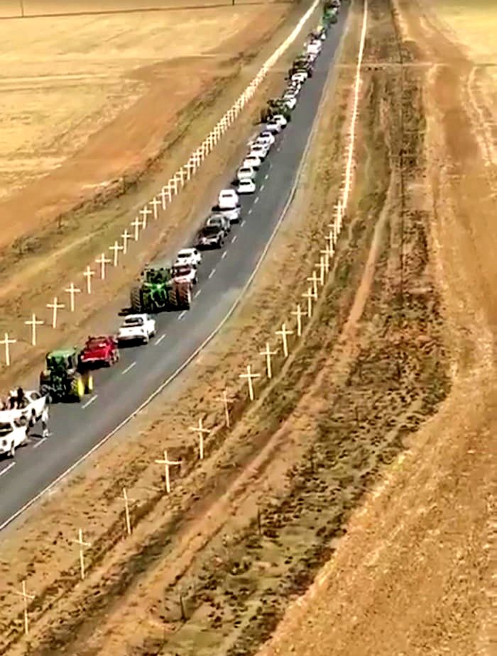 White crosses lining a road in Normandien in 2020. Picture: X/@ConCaracal