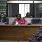 Screengrab from a video of the Pan-African Parliament’s Committee on Trade, Customs, and Immigration during the February session in Midrand. Photo: Pan-African Parliament