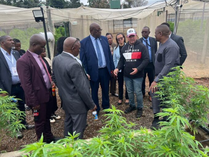 Botswana Investment and Trade Centre CEO Keletsositse Olebile, Botswana's High Commissioner to Zimbabwe H.E. Sarah S. Molosiwa and ZimTrade CEO Allan Majuru during a tour of a cannabis farm in Bulawayo, Zimbabwe. PHOTO: Supplied