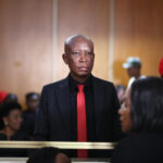 Julius Malema was sentenced for firing an assault rifle at a rally eight years ago © Mark Andrews / AFP
