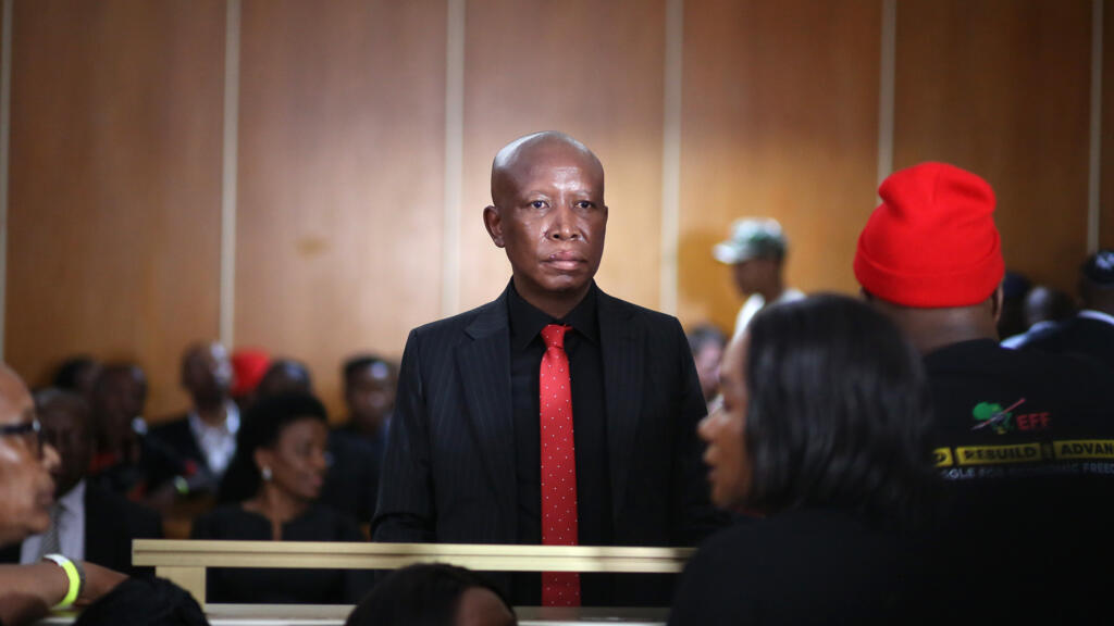 Julius Malema was sentenced for firing an assault rifle at a rally eight years ago © Mark Andrews / AFP