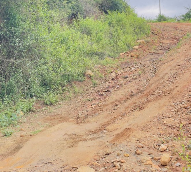 The current state of the road in Manhlonhlweni Community under Nkwene Inkhundla, which leaves residents cut off during the rainy season.
