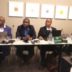 Tax experts from 15 African countries at the ATAF Technical Committee Meetings in Pretoria. | Photo: X/@ATAFtax