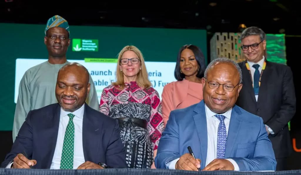 Representatives from the Nigeria Sovereign Investment Authority (NSIA), Africa50 and their development partners sign the agreement for the $300 million Nigeria Distributed Renewable Energy Fund