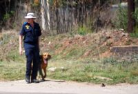 A K9 officer walks near the crime scene where the body of a fifth woman was discovered in Olifantsfontein near Kempton Park, east of Johannesburg, 14 September 2026. The bodies of the women were found partially undressed and with visible bruising, with the discovery sites located within the same vicinity. Picture: Nigel Sibanda/The Citizen