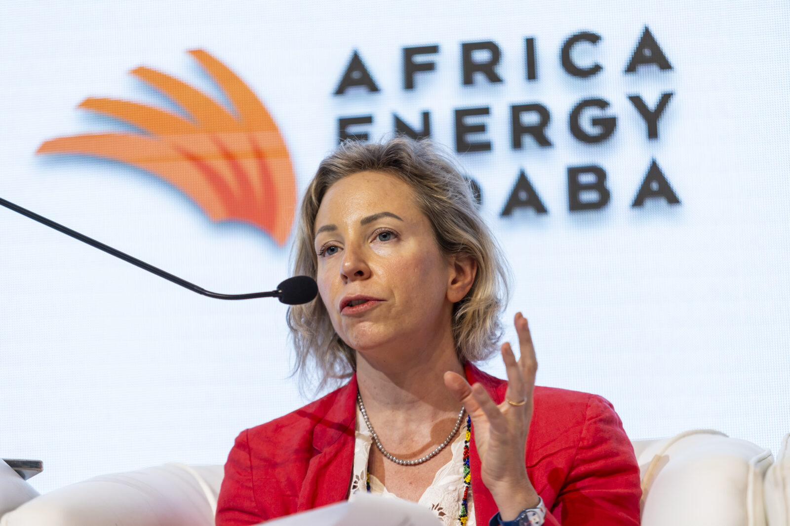 A speaker addresses delegates during a previous edition of the Africa Energy Indaba